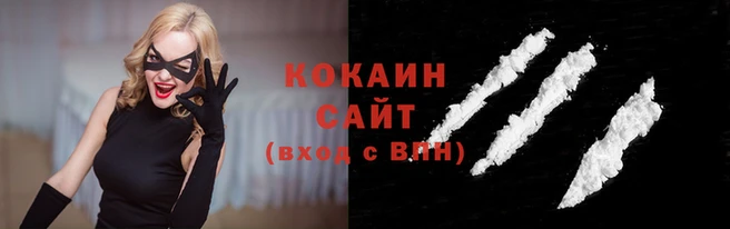 СК Волоколамск