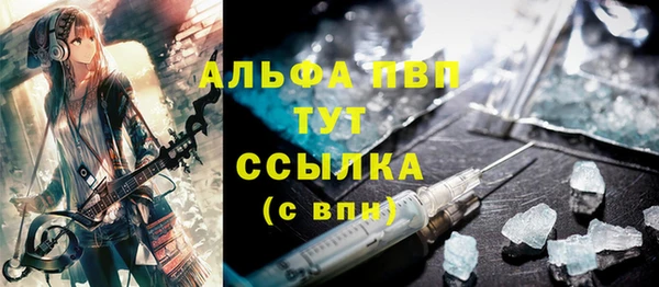 СК Волоколамск