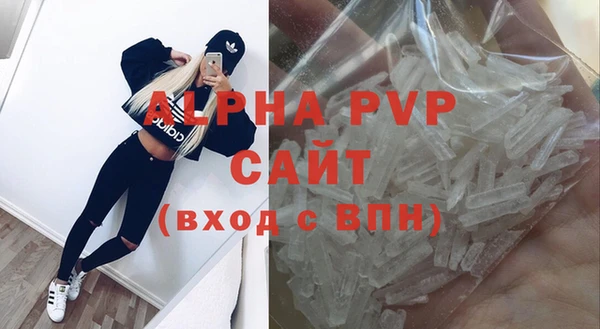 СК Волоколамск